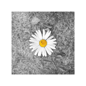 亚洲电影影音先锋
